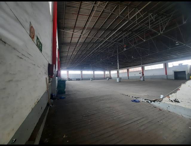 4,000M² WAREHOUSE TO LET IN ROSSBURGH